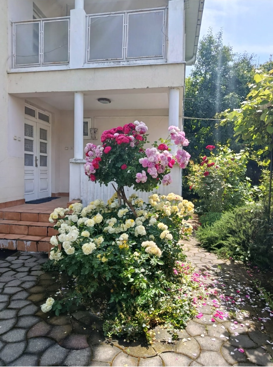 Kraljevo - Adrani - kuća - parcele