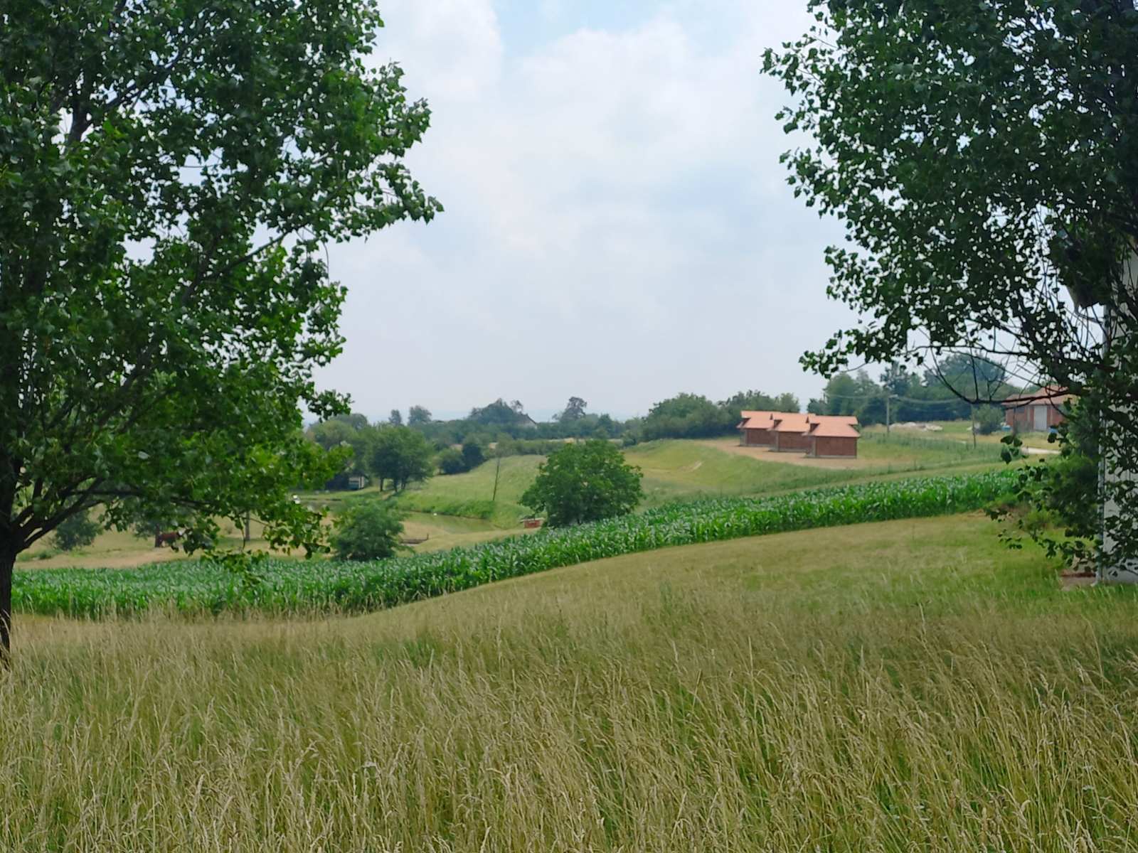 Brvnare / Aranđelovac / Gornja Trešnjevica /